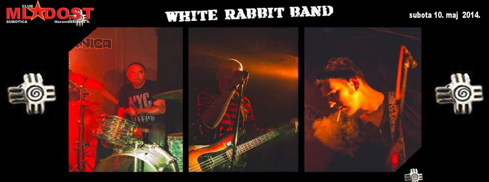 White rabbit band