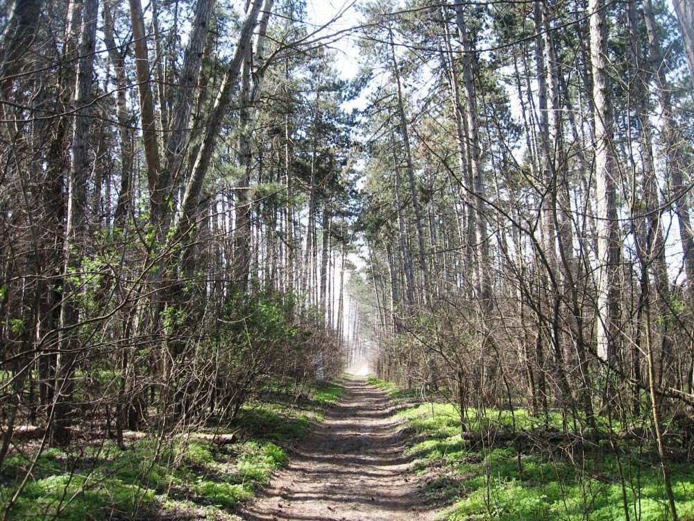 3. kolo Vojvođanske treking lige