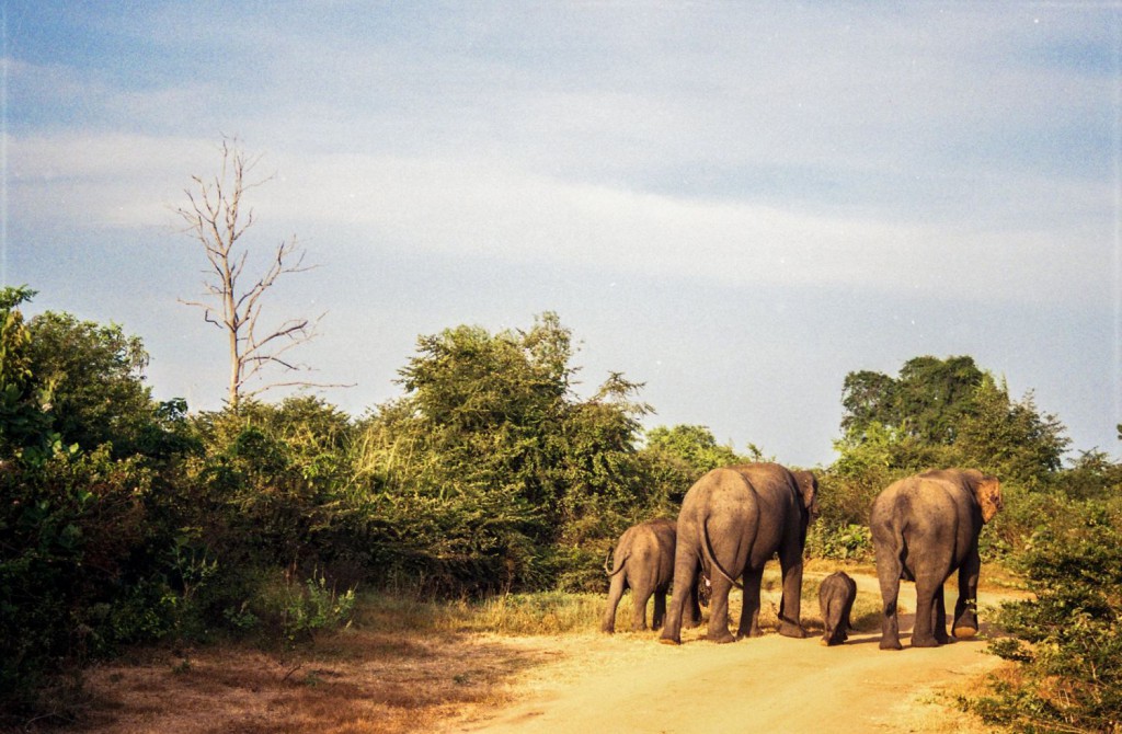 Predavanje: Klub putnika: Šri Lanka