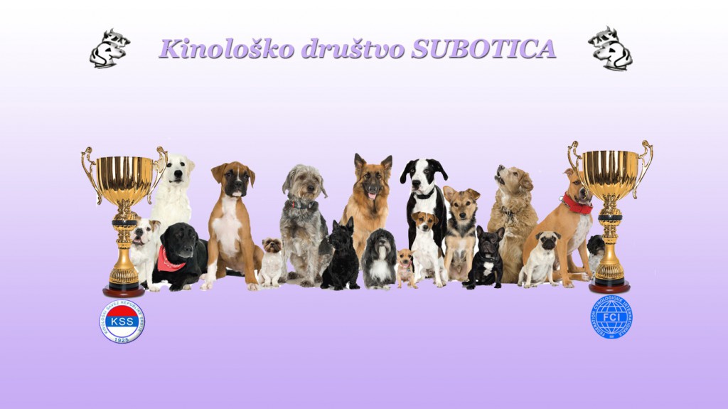 Međunarodna izložba pasa