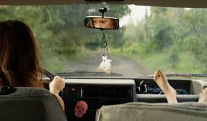 EFF Palić:  Staza od Ljiljana