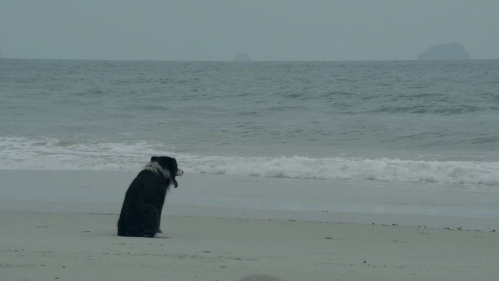 EFF Palić: Porodični film