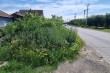 Nepokošena površina - nepregledna raskrsnica ulice Daruvarske na Bajskom putu