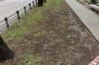 Uređenje parkića u Petefi Šandora