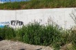 Majšanski most zapušten travom i rastinjem