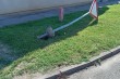 Srušen saobraćajni znak - ugao ulica Blaška Rajića i Skerlićeve