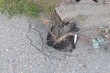 Udarna rupa u Njegoševoj ulici kod broja 22