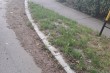 Čišćenje ulica, bankina kod Kerske crkve