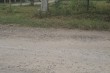 Opasnost u Kireškoj ulici