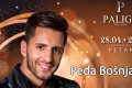 Peđa Bošnjak - Paligo Palata
