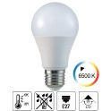 LED sijalica 8W 6500K A60 E27 OPTILED