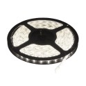 LED traka 60xLED/m hladna bela 1680lm 12V 14.4W/m  IP20