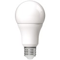 LED sijalica A60 13W E27 CW 6400K obicna