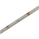 LED traka 12V 8W/m 3000K IP65 5m 145lm/W