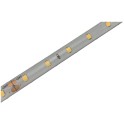 LED traka 24V 8W/m 3000K IP6510m 145lm/W