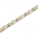LED traka 12V 24W/m 2700K IP20 5m