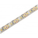 LED traka 12V 24W/m 4000K IP20 5m D