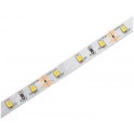 LED traka 12V 12W/m 4000K IP20 5m