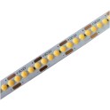 LED traka 12V D-COB 12W/m 4000K IP44 5m NW