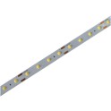LED traka 12V D-COB 8W/m 6400K IP44 5m CW
