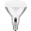Infra sec sijalica 250W E27 (bela)