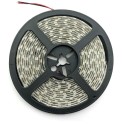 LED traka 24V 24W/m 6400K IP65 5m