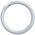 Fluo cev okrugla T9 40W 6500KECOLIGHT G10Q