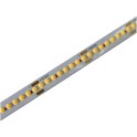 LED traka 24V D-COB 12W/m6400K IP44 10m CW