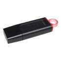 Kingston USB Flash memorija 256GB DTX/256GB