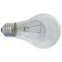 Vagonska sijalica 60W E27 24V A60