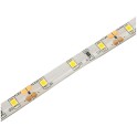 LED traka 12V 7.2W/m 6400K IP65 5m