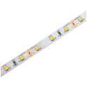 LED traka 12V 4.8W/m 6400K IP20 5m