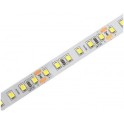 LED traka 24V 24W/m 4000K IP20 10m