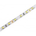 LED traka 12V 4.8W/m 2700K IP20 5m