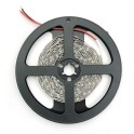 LED traka 12V 4.8W/m 6400K IP20 30m