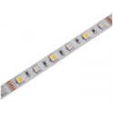 LED traka 12V 12W/m RGB+W 4000K IP20 30m