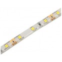 LED traka 12V 4.8W/m 6400K IP65 10m