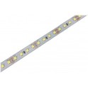 LED traka 12V 16W/m 6400K 5m 145lm/W