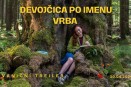Film: Devojčica po imenu Vrba (sinhronizovano)
