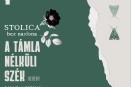 Promocija romana "Stolica bez naslona" Danijele Repman