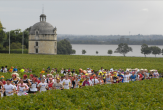 Vinski maraton