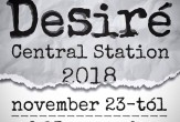 Desiré Central Station 2018: 365FALLS