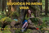 Film: Devojčica po imenu Vrba (sinhronizovano)