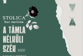 Promocija romana "Stolica bez naslona" Danijele Repman