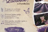 Dan Lavande u FortRestu