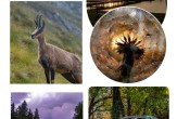 Izložba fotografija: Lepota u očima prirode