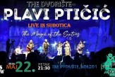 Ptičići u Subotici