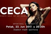 Ceca Ražnatović - koncert