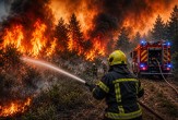 Veliki požar u Kelebijskoj šumi: Vatra zahvatila oko 10 hektara šumskog pojasa