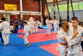 Besplatna Letnja škola džudoa: Spartak poziva najmlađe na sportski raspust